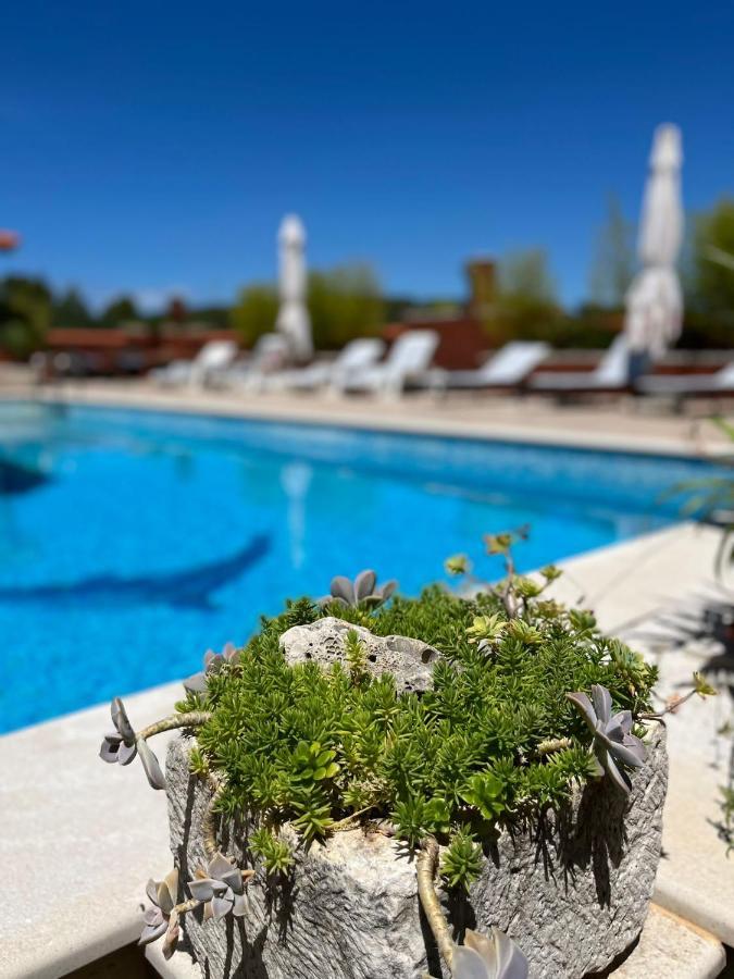 Apartment With Swimming Pool Jelsa  Εξωτερικό φωτογραφία