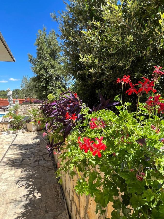 Apartment With Swimming Pool Jelsa  Εξωτερικό φωτογραφία