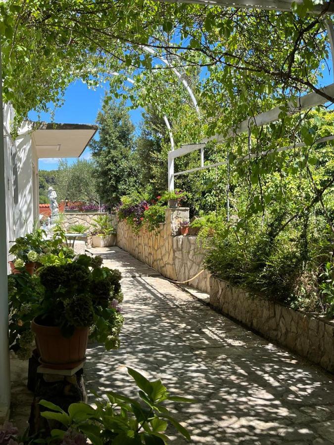 Apartment With Swimming Pool Jelsa  Εξωτερικό φωτογραφία