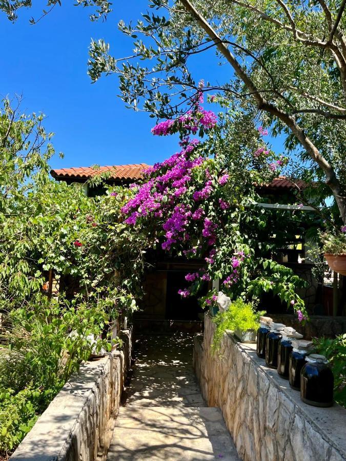 Apartment With Swimming Pool Jelsa  Εξωτερικό φωτογραφία