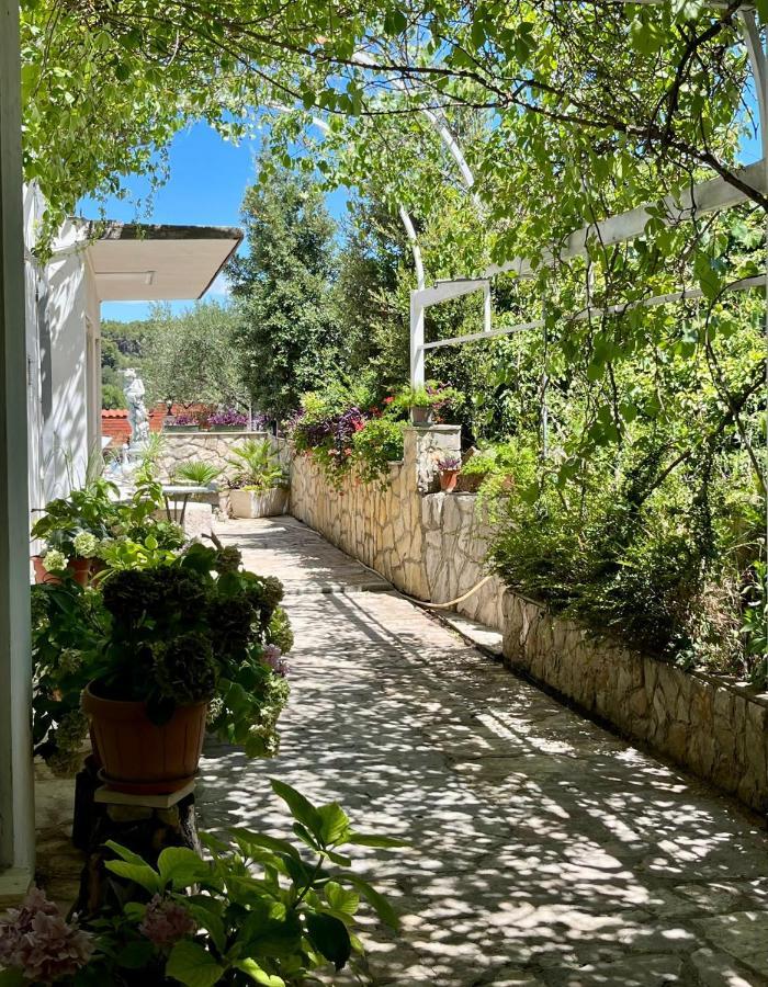 Apartment With Swimming Pool Jelsa  Εξωτερικό φωτογραφία